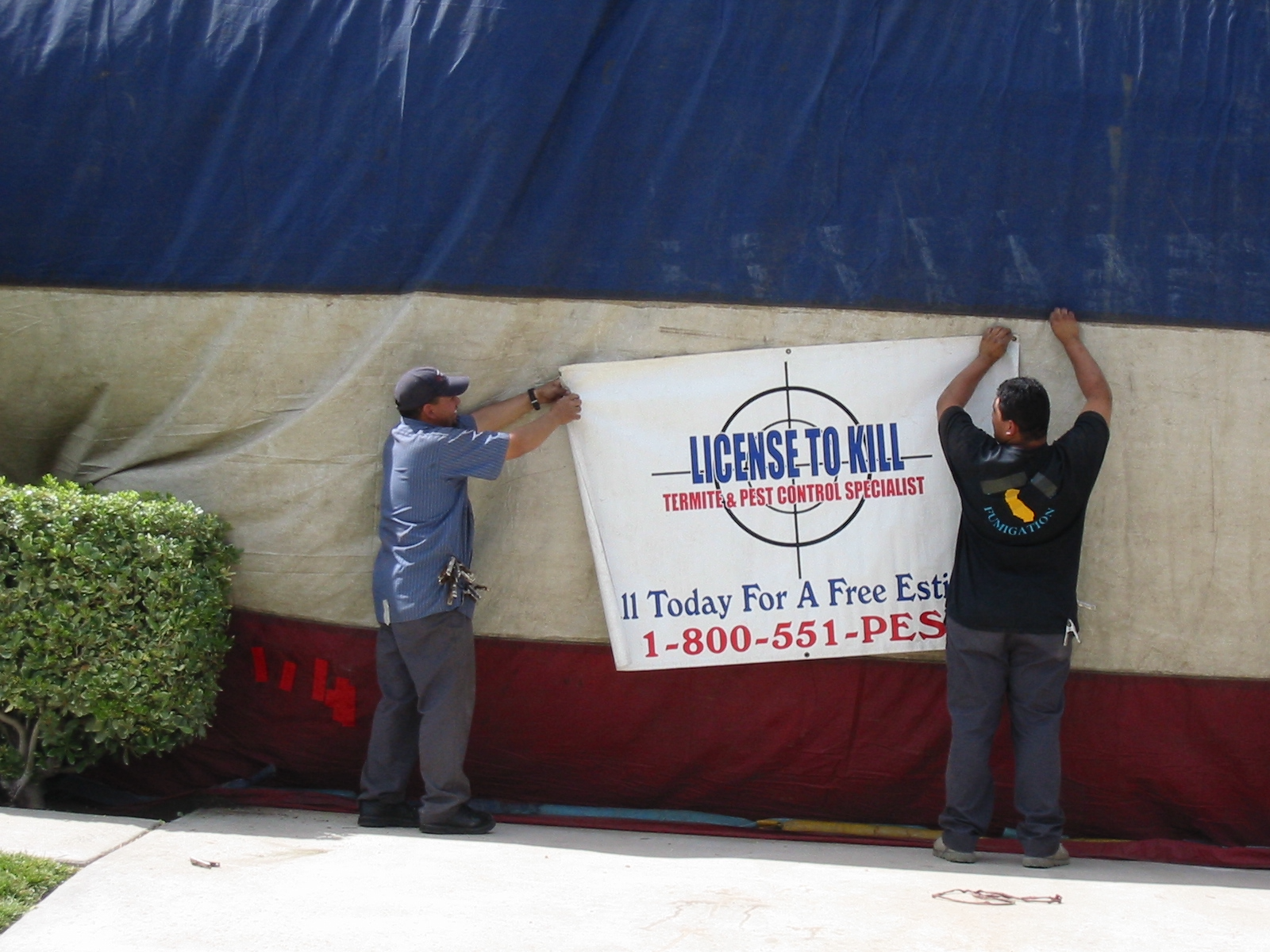 Specialists at License to Kill